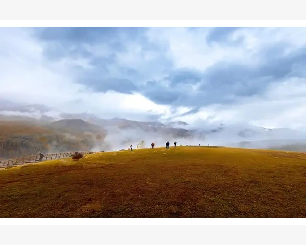 中药干姜治疗脾胃问题：传统智慧结合现代科学的康复良方