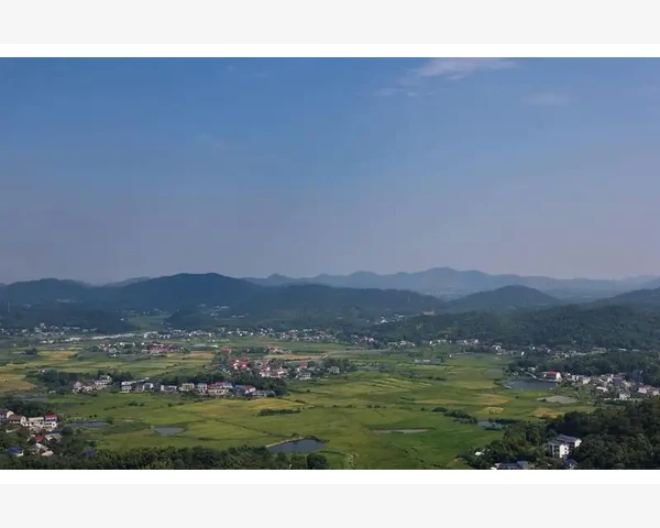 八段锦调理脾胃：“单举”与“收势”的妙用