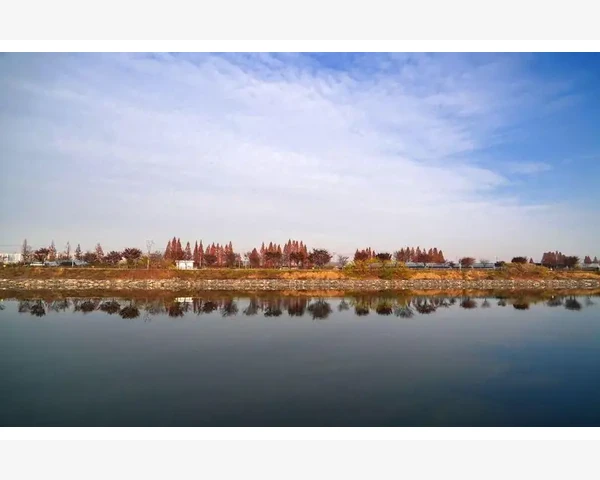 气管痒，是宣肺还是清肺？一场中医科普探秘